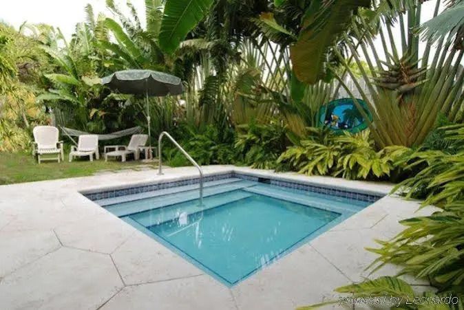 An Island Oasis - קי ווסט - בריכה