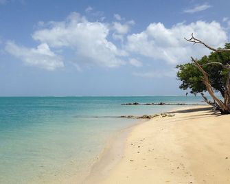 Fish Tobago Guesthouse - Buccoo - Plaża