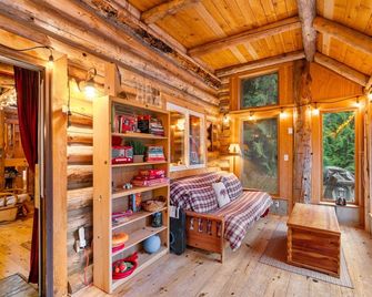 Far And Away Cabin - Leavenworth - Living room