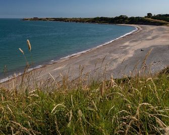 Breathtaking cliff top farmhouse with deserted beach - Arklow - Beach