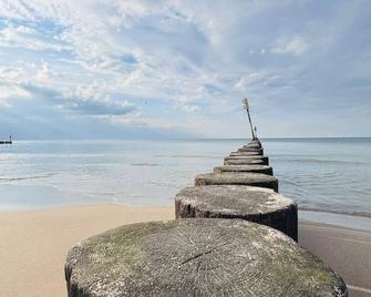 Baltic Forest - Kolobrzeg - Playa