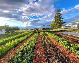 Saturn's Return - Friday Harbor