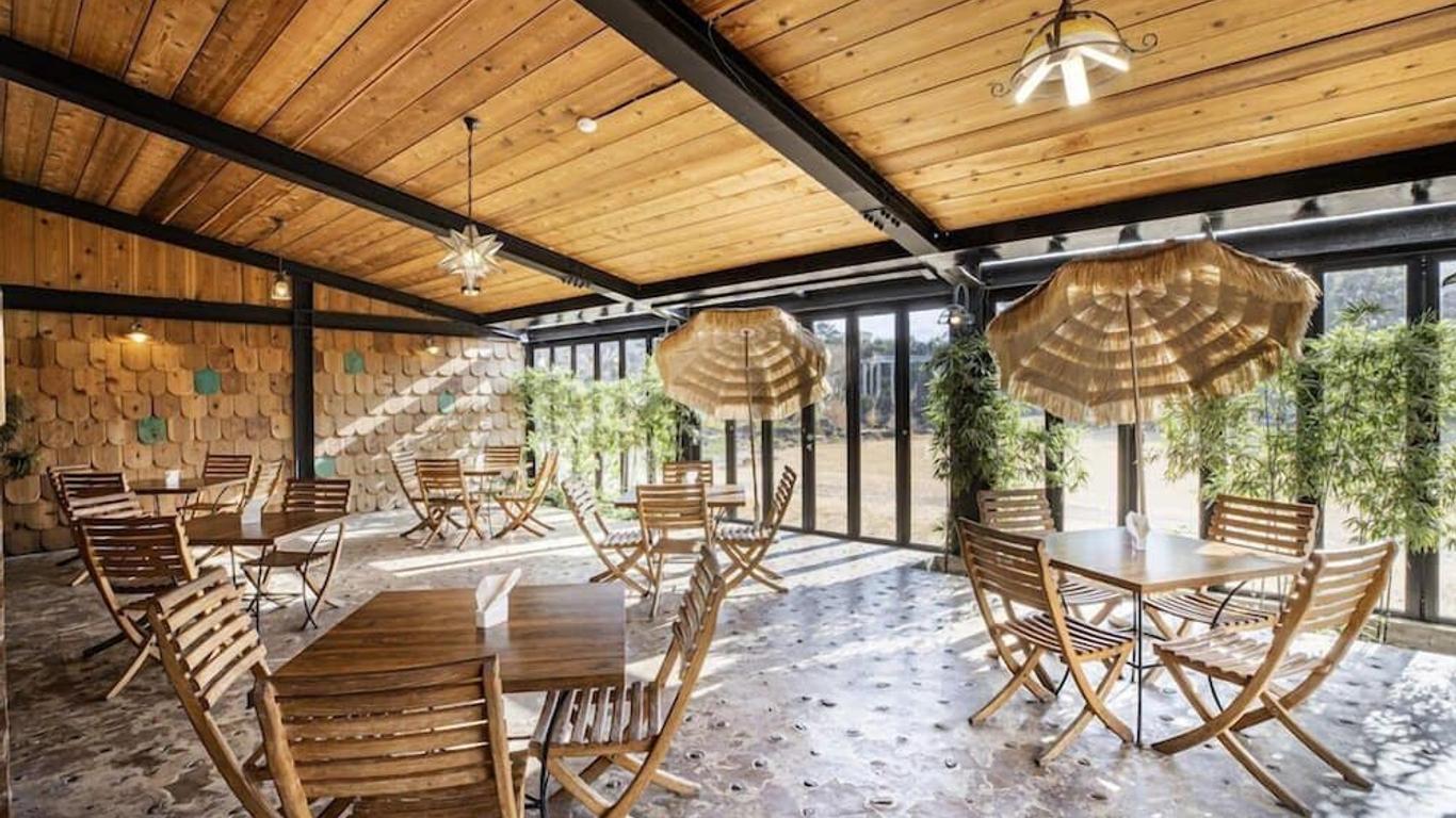 أولي ريزورت