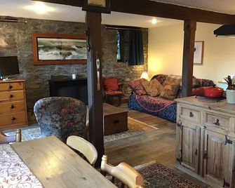 Cosy rural hideaway - Builth Wells - Obývací pokoj