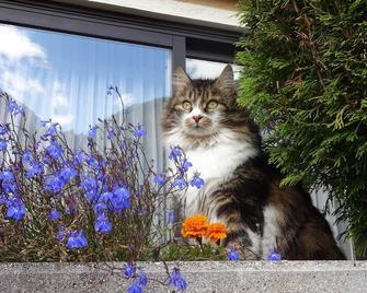 Double room with shower, WC - Gletschermühle, country house - באד גאסטיין