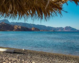 Haven Beach camp and Resturant - Nuweiba - Beach