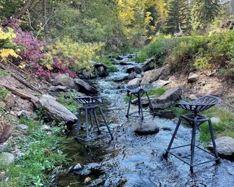 Whitetail Creek Resort - Lead