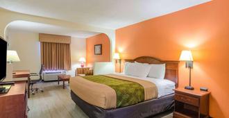 Econo Lodge Inn & Suites - Gulfport - Bedroom