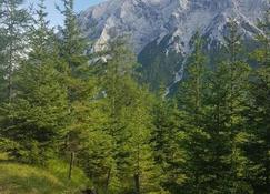 Landhaus Plainer - Innsbruck - Outdoors view