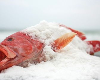 The Fortress Resort and Spa - Galle - Restaurante