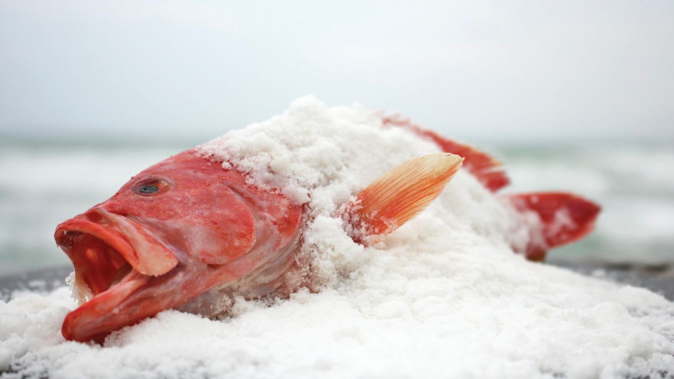 The Fortress Resort & Spa Galle