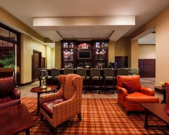 Sheraton Duluth Hotel - Duluth - Bar