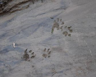 The Inn of Escalante - Escalante - Будівля