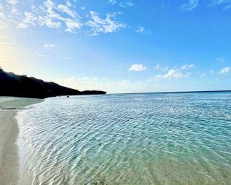 Nonsmoking Turtle Inn Room only Youll feel l / Oshima-gun Kagoshima - Wadomari - Beach