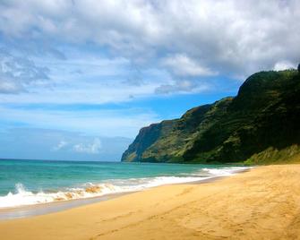 Romantic Cottage, Private Acre Of Paradise, View! Pool! - Hanalei - Plaża