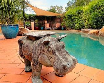Vatu Sanctuary - The Bure (1 bedroom spa with private entrance and garden) - Alice Springs - Pool
