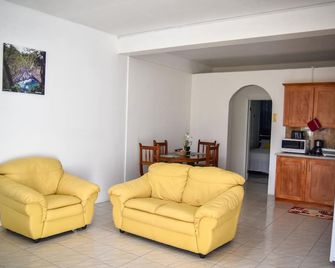Large 2 Bedroom 2 Bathroom Apartment #4 in Roseau. Bus stops right in front! - Roseau - Living room