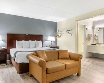 Econo Lodge Conway Central - Conway - Camera da letto