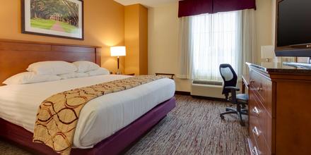 Image of hotel: Drury Inn and Suites Baton Rouge