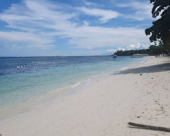 birdwatchers beachfront hotel panglao - Panglao - Beach