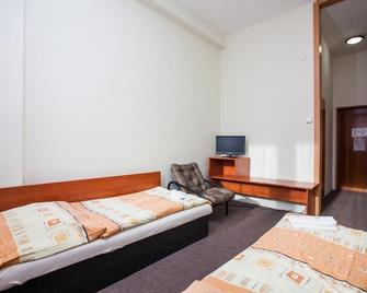 Hotel Alfa - Třebíč - Chambre