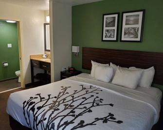Sleep Inn Horn Lake-Southaven - Horn Lake - Bedroom