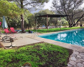 Hotel Rural Finca Liceo - Mijares - Pool