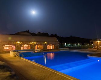 Roots - Al-Qusayr - Pool