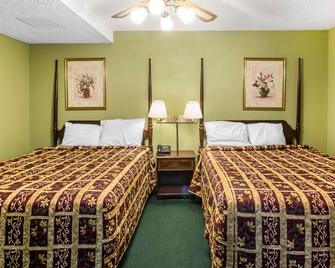 Rodeway Inn & Suites - Smyrna - Спальня