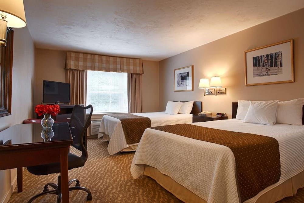 سيلفر فوكس إن