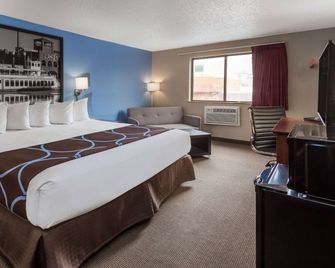 Super 8 by Wyndham Dubuque - Dubuque - Bedroom