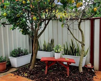 New cosy guesthouse in Parramatta with parking Near transport/uni/stadium/museum - Parramatta - Innenhof