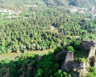 Natali Hotel - Borjomi - Outdoors view