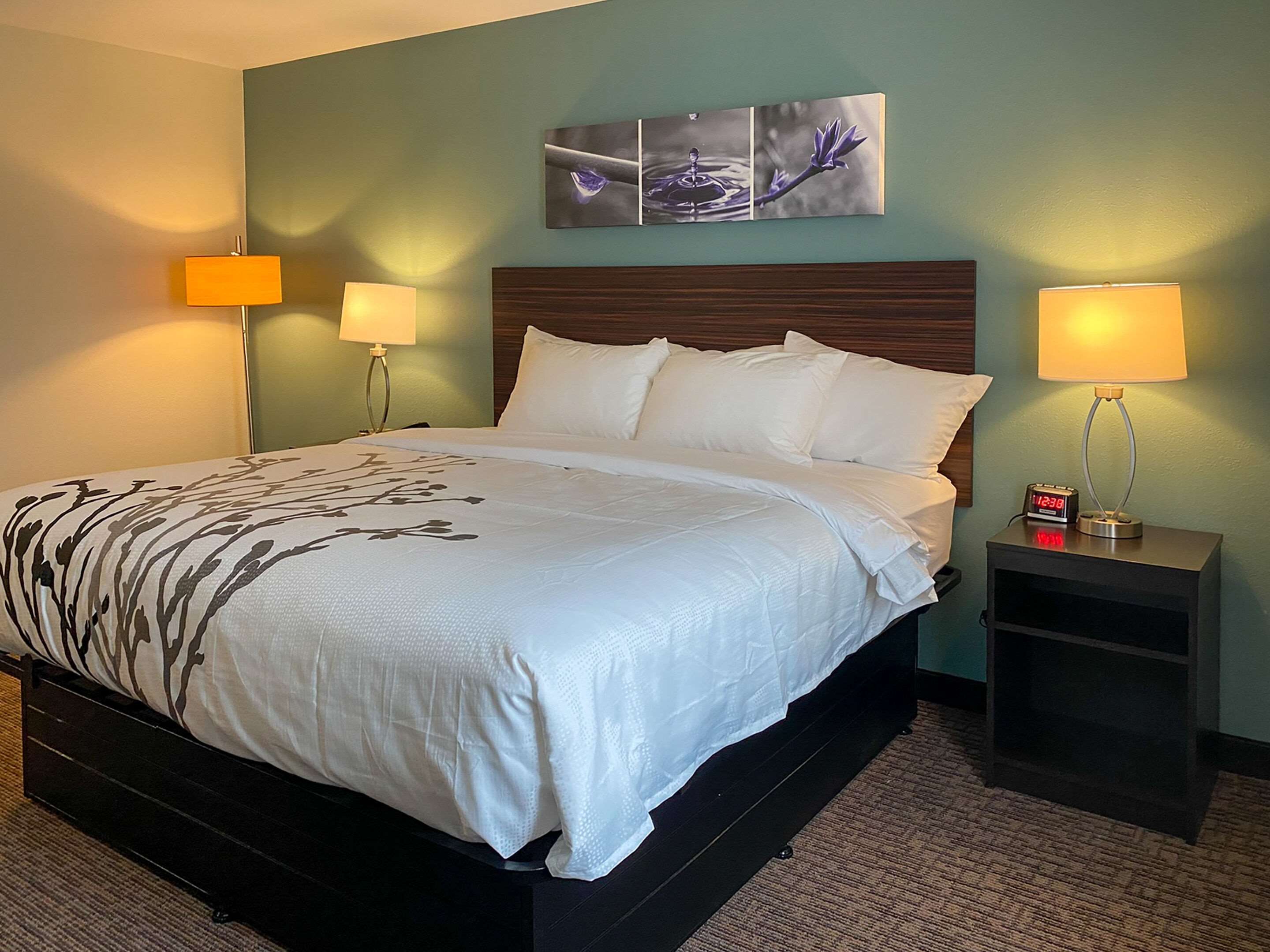 Sleep Inn & Suites - Coliseum Area thumbnail 3