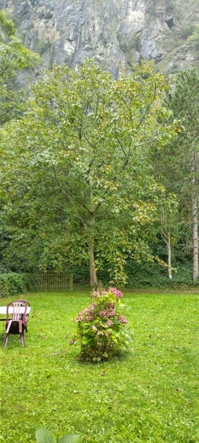 La Cascade thumbnail 3