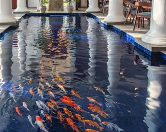 Luck Nature Villas Habaraduwa Galle - Habaraduwa