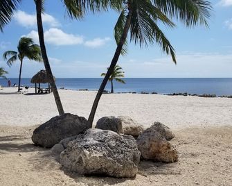 Spectacular Oceanfront Views , Free Wifi, Hd Smart Tv's, Summer Special Rates - Islamorada - Beach