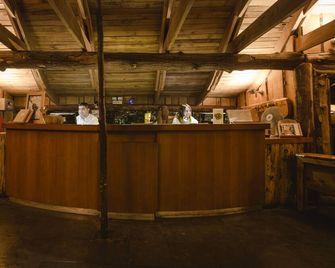 Huilo Huilo Montana Magica - Neltume - Bar