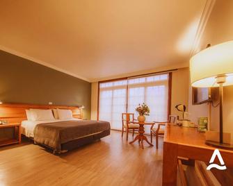 Almasur Punta Arenas - Punta Arenas - Soverom