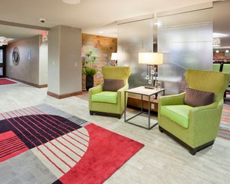 Holiday Inn Express & Suites Bloomington - Mpls Arpt Area W By IHG - Bloomington - Lounge