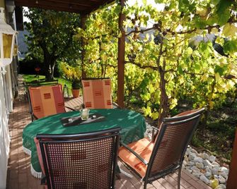 Ferienweingut Wolfgang Adamy - Kinheim - Patio