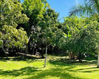 Dawson's Hideaway - Nassau - Outdoors view