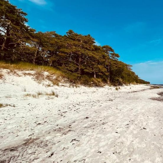 Holiday Home At Balka Strand 200 M From The Sea – Nexø