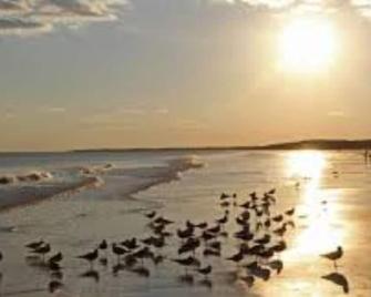 Loo’s Roost\nA small suburban farm setting with Charleston area amenities - Johns Island - Beach