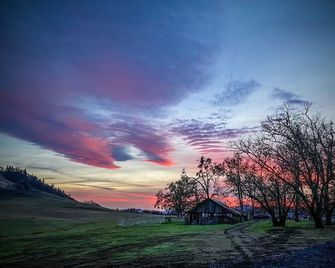 Just off I-5, RV available on a secluded lot. Close to town. - Roseburg - Näkymät ulkona