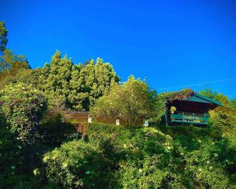 The Tamarillo - Ooty - Outdoors view
