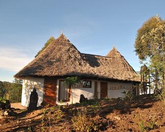 Mamboviewpoint Eco Lodge - Lushoto - Kitchen