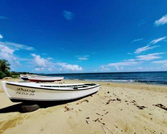 Caribbean Sea Beach Front 2nd floor House Puertorrican Experience w A/C WiFi - Guayama - Playa