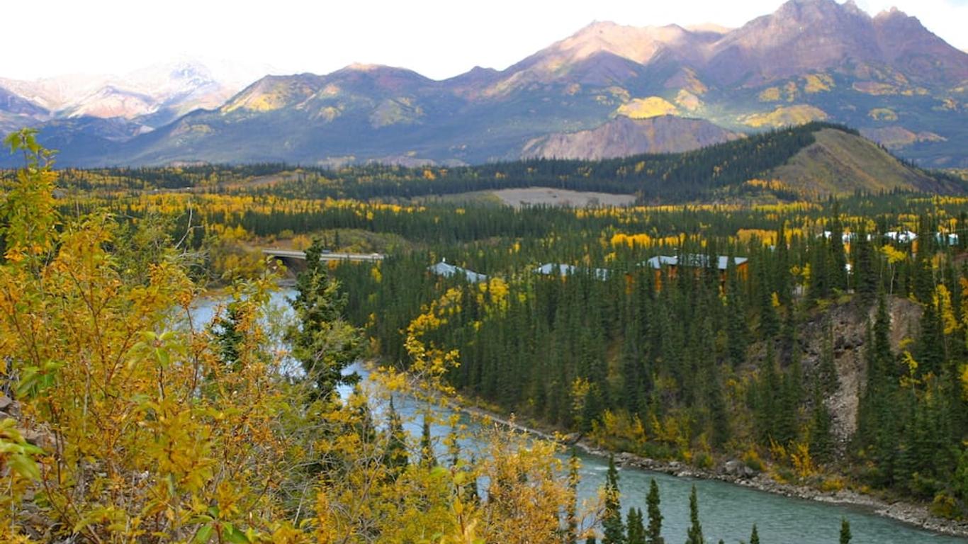 Denali Grizzly Bear Resort