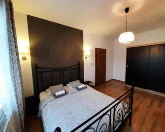 Mlynska2 - Bielsko-Biala - Bedroom
